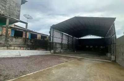 Galpão para alugar, 600 m² por r$ 10.000,01/mês - flores - manaus/am
