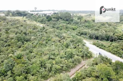 Terreno à venda, na am 010 km 13, 37864 m² por r$ 2.300.000 - novo israel - manaus/am