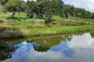 Chácara / sítio à venda na Rua Nillo Pissaia, s/n, Campina do Taquaral, São José dos Pinhais