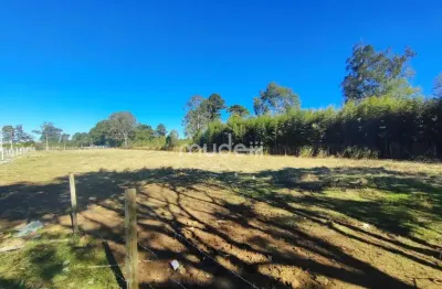 Terreno comercial para alugar na Rua Marechal Hermes Com Claúdio Guras, Iná, São José dos Pinhais