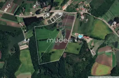 Terreno à venda na Rua Júlio César Setenareski, Colônia Murici, São José dos Pinhais