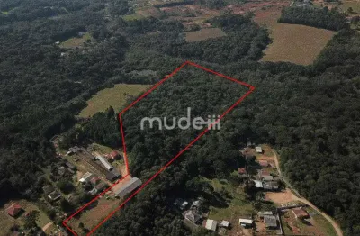 Chácara / sítio com 2 quartos à venda na Rua Vila Nova, 777, Cachoeira, São José dos Pinhais