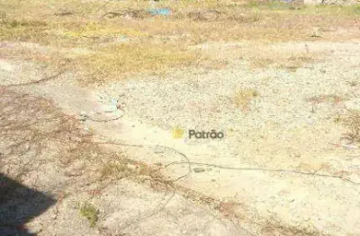Terreno para alugar, 1000 m² por R$ 13.500,00/mês - Jardim Jamaica - Santo André/SP