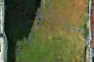 Terreno à venda, 300 m² por r$ 825.000,00 - parque dos pássaros - são bernardo do campo/sp