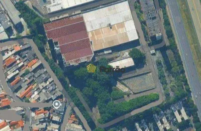 Galpão industrial à venda, 40000m² de terreno por r$ 70.000.000 - jardim santa cruz (sacomã) - são paulo/sp