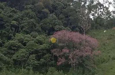 Área à venda, 41000 m² por r$ 1.700.000,00 - da lagoa - joanópolis/sp