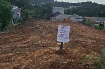 Terreno à venda na Rua dos Crisântemos, São Dimas, Colombo