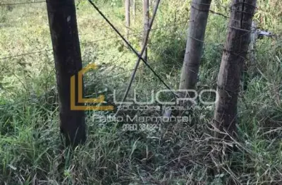 Área com 20.222,64m2. rodovia marechal rondon km 357 ao 355 sentido  leste.