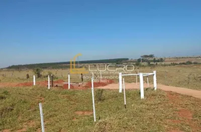 Terreno: 25.135,57m2 . casa com barracao para festa. hidromassagem.churrasqueira.rodovia marechal rondon km357