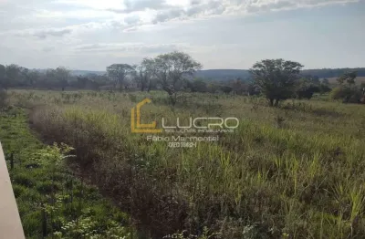 Terreno para venda com 5000 m², recanto aprazível, bauru - sp