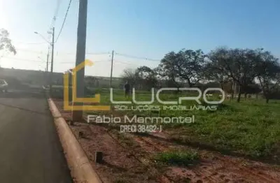 Terreno à venda no Vale do Igapó, Pederneiras 