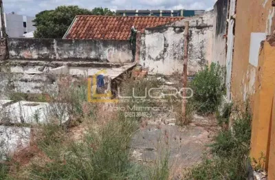 Terreno à venda no Jardim Bela Vista, Bauru 