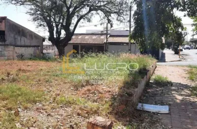 Terreno à venda na Vila Santa Izabel, Bauru 