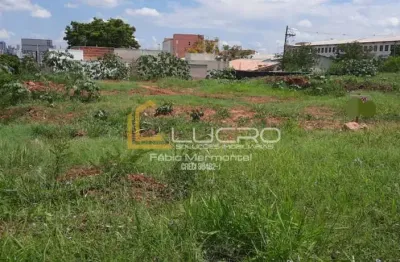 Terreno à venda no Parque Residencial Castelo, Bauru 