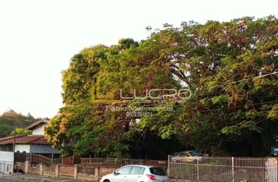 Lote/terreno - 1470m² - centro - piratininga - a venda