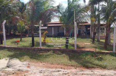 Fazenda à venda na Vila Nova Iacanga, Iacanga 