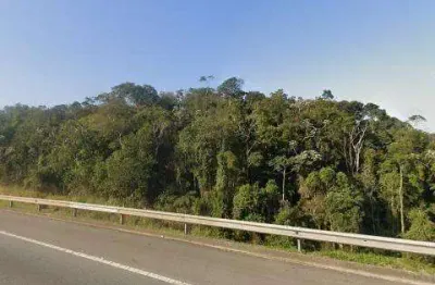 VENDA DE ÁREA NA RODOVIA PEDRO EROLES, EM MOGI DAS CRUZES/SP, OPORTUNIDADE DE INVESTIMENTO com 5,6 halqueres, 56.898m². CONSULTE-NOS.