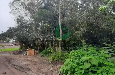 Terreno 450 m2 no retiro das caravelas - cananéia / sp