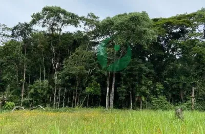 Terreno para venda com 380,88m² no reserva da mata - cananéia/sp