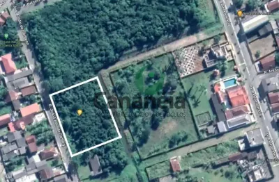 Terreno com 4.165 m² para venda - rua joão izídio de camargo - vila cabana - cananéia, litoral sul de sp