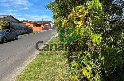 Terreno com 250 m2 na vila cabana a 2 quadras da av. independência - cananéia / sp