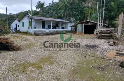 Sítio 4 alqueires - bairro ex-colônia - cananéia litoral sul de sp