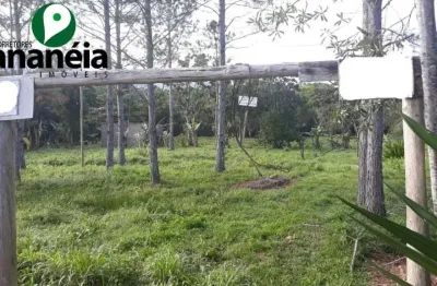 Sítio com 78.448 m2 sendo 100m de frente para rodovia asfaltada, disponível para venda - cananéia/sp
