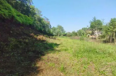 Terreno à venda na rua cidade de urutaí, 183, profipo, joinville, 2818 m2 por r$ 600.000
