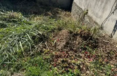 Terreno à venda em ilhabela - oportunidade imperdível!