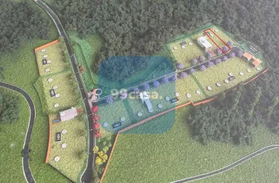 TERRENO com fundos para o Bosque no Alphaville Paraná – Campo Largo