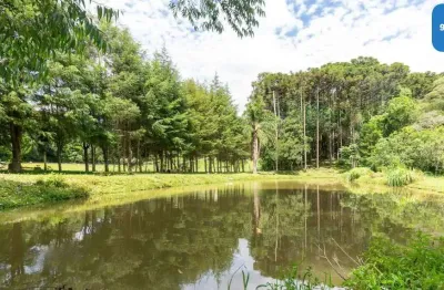 Chácara à venda localizada na colônia mariana, em campo largo