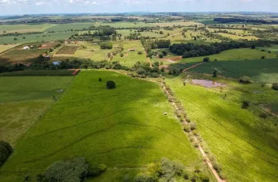Comprar fazenda em tatuí sp, farms for sale in são paulo brazil, farms in brazil, property for sale in brazil, fazenda a venda em são paulo, farms