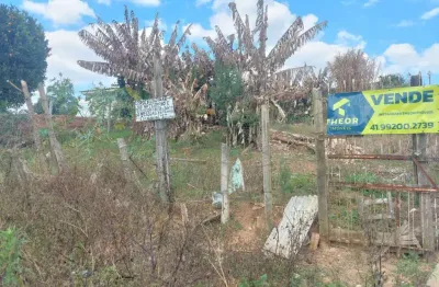 Terreno à venda na Rua Cactus, 229, Campina da Barra, Araucária