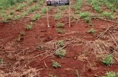 Terreno à venda, 125 m² por r$ 37.000,00 - jardim imperial ii - floresta/pr