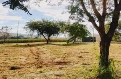 Terreno à venda, 320 m² por r$ 110.000,00 - jardim nova floresta - floresta/pr