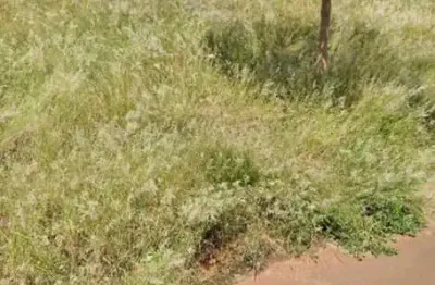 Terreno à venda na Rua Bolívar Marquini, S/n, Terra Bella, Iguaraçu