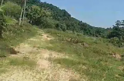 Sítio à venda, 145200 m² por r$ 800.000,00 - zona rural. - juquiá/sp