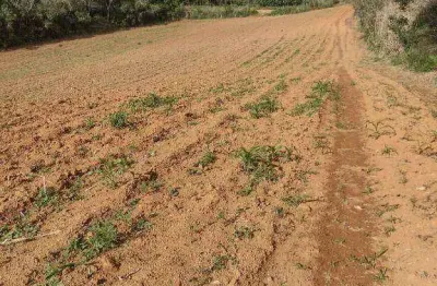 Área à venda, 6454 m² por r$ 150.000,00 - piedade - piedade/sp