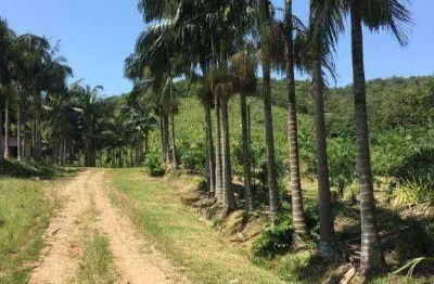 Fazenda com à venda, 4822600 m² por r$ 7.900.000 - área rural - morretes/pr