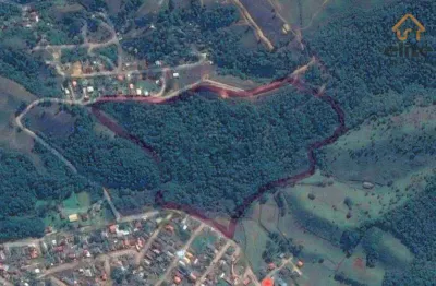Área à venda, 86878 m² por r$ 1.600.000,00 - jardim campo verde - almirante tamandaré/pr