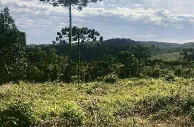 Chácara à venda, 20000 m² por r$ 200.000,00 - centro - bocaiúva do sul/pr