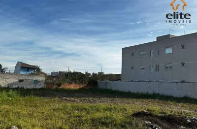 Terreno à venda, 900 m² por r$ 899.000,00 - vargem grande - pinhais/pr