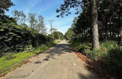 Terreno à venda na Rua Manoel Pereira da Silva, 637, Parque das Nascentes, Pinhais