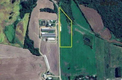 Terreno à venda na Rodovia Pr-438, Zona Rural, Palmeira