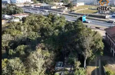 Terreno à venda, 6123 m² por r$ 750.000,00 - barro preto - são josé dos pinhais/pr