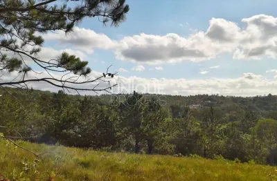 Terreno à venda, 9704 m² por r$ 1.350.000 - maracanã - jarinu/sp