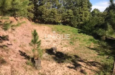 Terreno à venda, 1810 m² por r$ 250.000,00 - centro - jarinu/sp