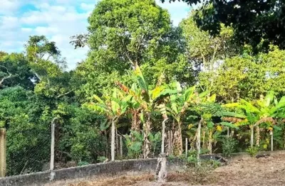 Chácara / sítio com 3 quartos à venda na Avenida São Luiz, 2635, Maracanã, Jarinu