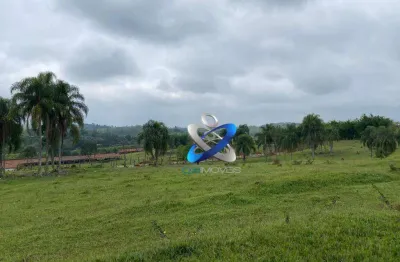 Área, 29137 m² - venda por R$ 13.112.000,00 ou aluguel por R$ 60,00/mês - Jardim Uirá - São José dos Campos/SP