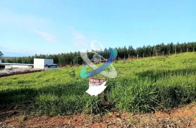 Terreno à venda, 1200 m² por R$ 298.000,00 - Condomínio Terras de Santa Mariana - Caçapava/SP